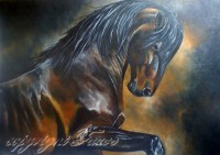 /album/galerie-photos/fierete-hispanique-jpg1/